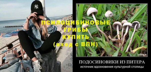 прущие грибы Абдулино