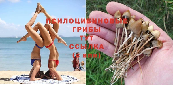 гашишное масло Абаза