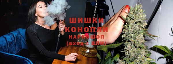 прущие грибы Абдулино