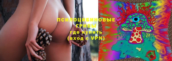 прущие грибы Абдулино