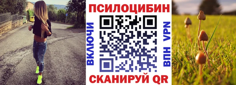 Псилоцибиновые грибы GOLDEN TEACHER  Абдулино 